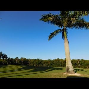 Meet your Posher, Stephen